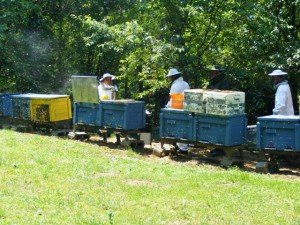 Pörgetés (forrás: Fekete Jánosné)