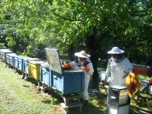 Keretek elvétele (forrás: Fekete Jánosné)